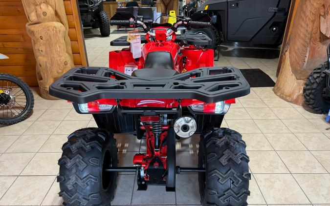 2026 Denago Powersports Mudhawk 200FI