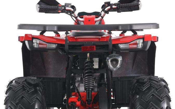 2026 Denago Powersports Mudhawk 200FI