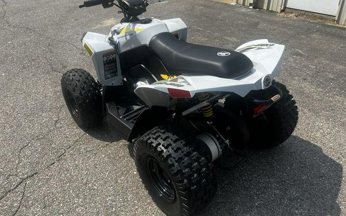 2026 Can-Am Renegade 70 EFI
