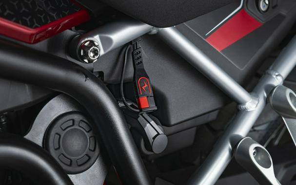 2025 Triumph Tiger 900 GT Pro