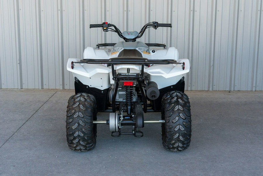 2024 Yamaha Grizzly 90