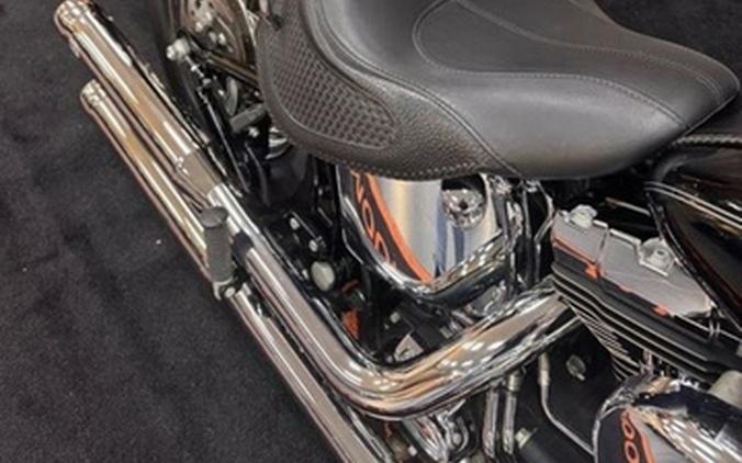 2005 Harley-Davidson Softail FLSTN - Deluxe