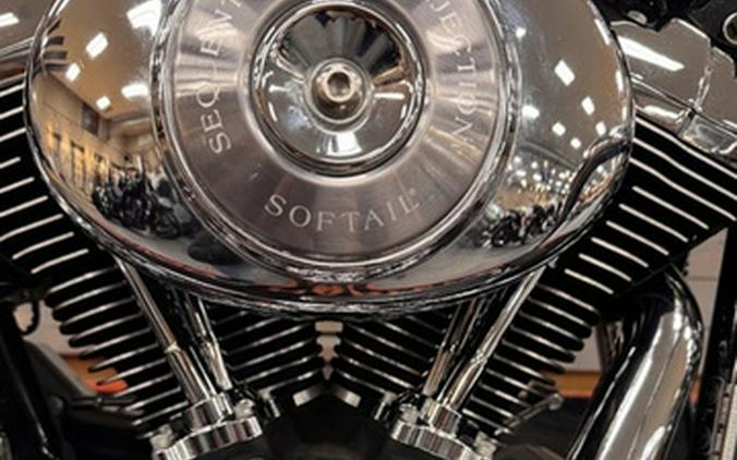 2005 Harley-Davidson Softail FLSTN - Deluxe