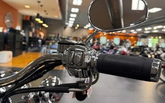 2005 Harley-Davidson Softail FLSTN - Deluxe
