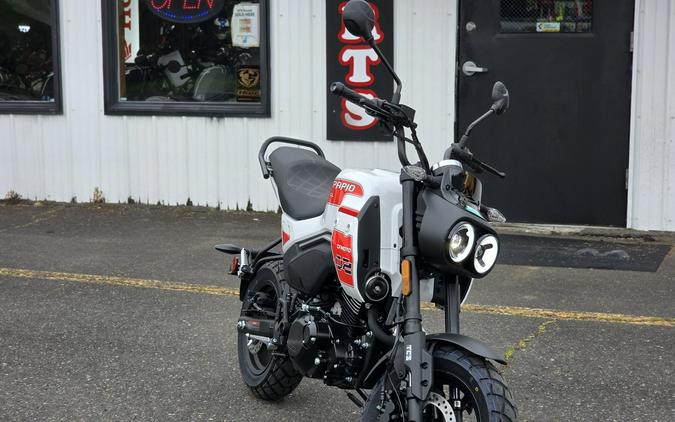 2026 CFMOTO Papio CL