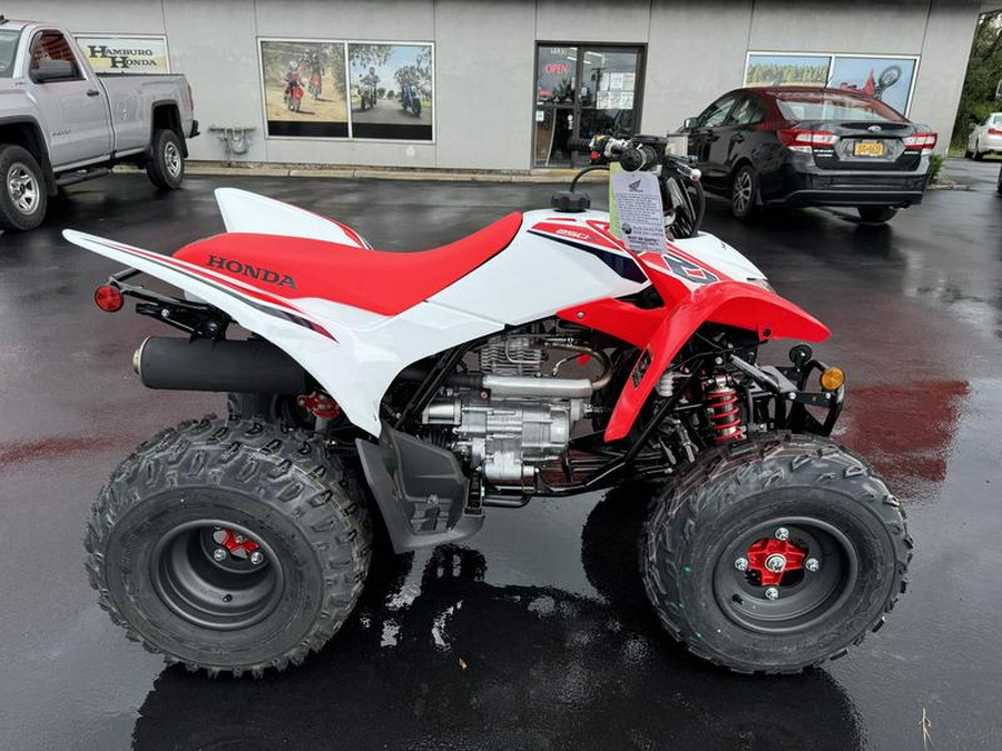 2024 Honda® TRX250X