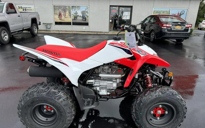 2024 Honda® TRX250X