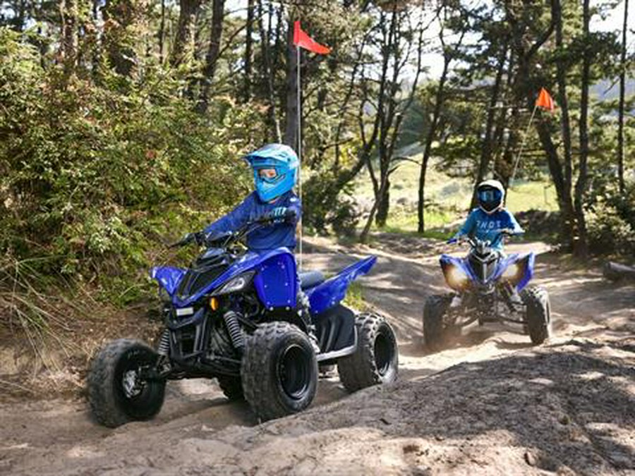 2026 Yamaha Raptor 110