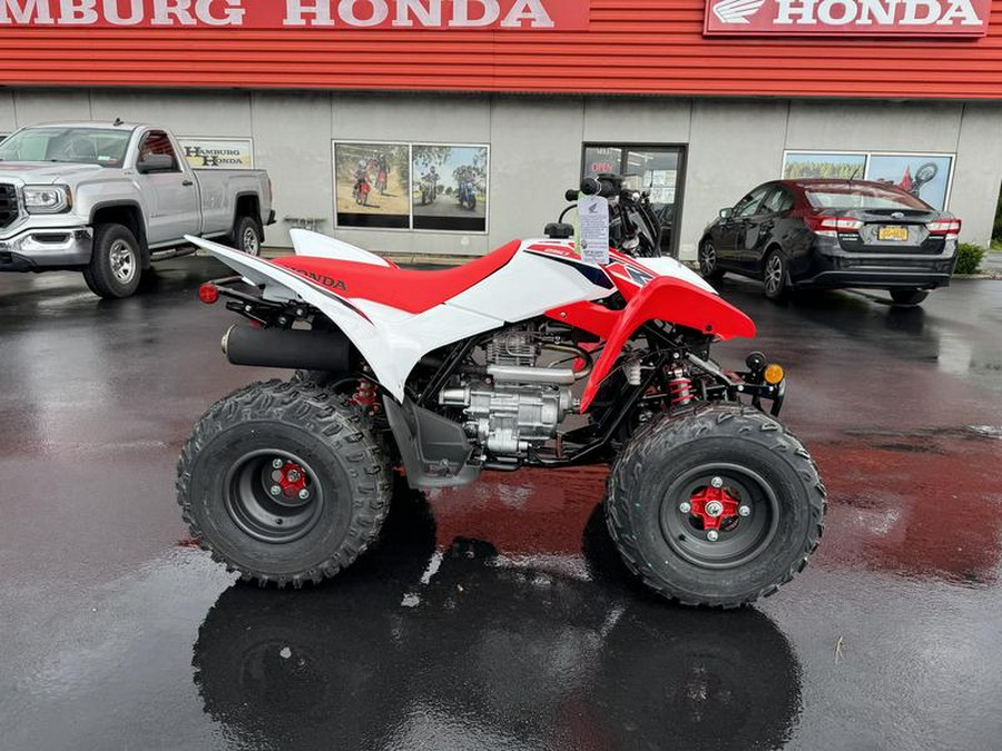 2024 Honda® TRX250X