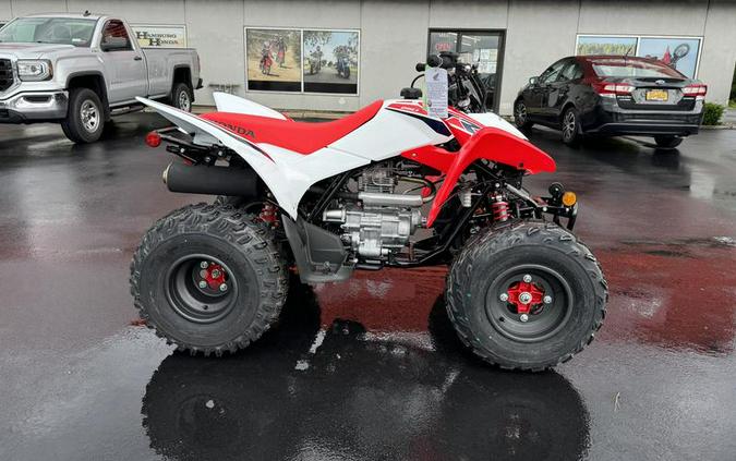 2024 Honda® TRX250X