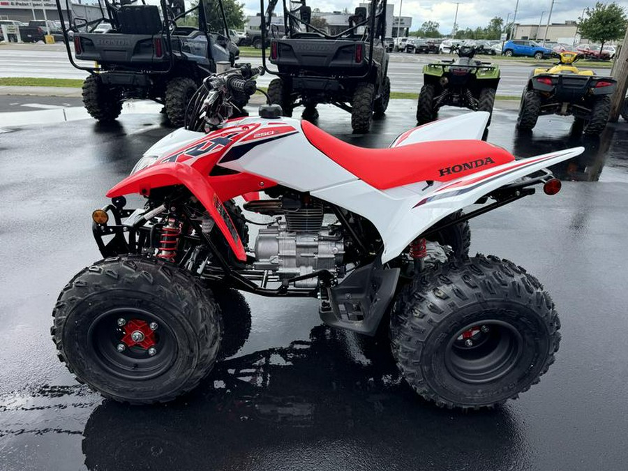 2024 Honda® TRX250X