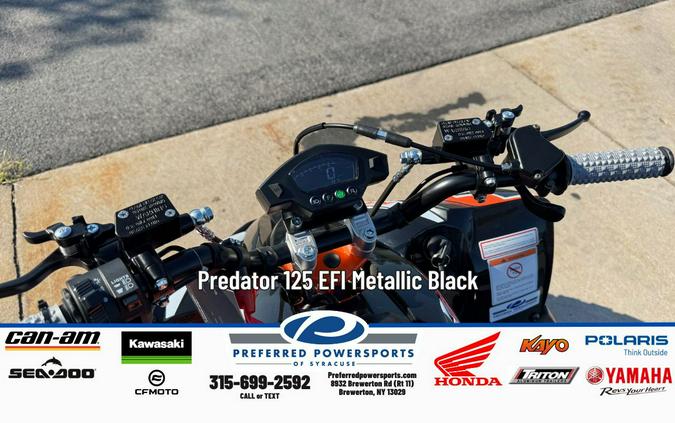2025 Kayo Predator 125 EFI Metallic Black