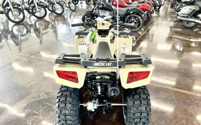 2023 Arctic Cat® Alterra 90