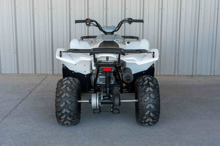 2024 Yamaha Grizzly 90