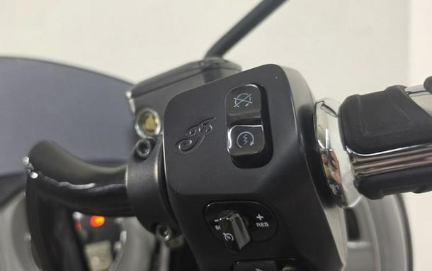 2020 Indian Chieftain Dark Horse Titanium Smoke