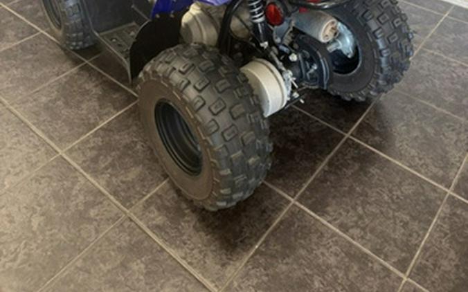 2024 Yamaha YFZ 50