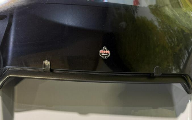 2024 Harley-Davidson Road Glide