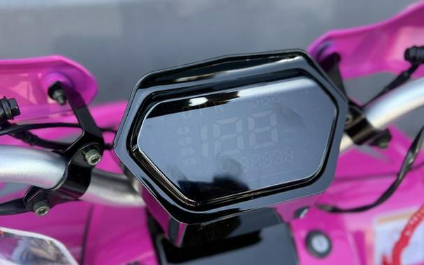 2026 Denago Powersports E-Hawk 6