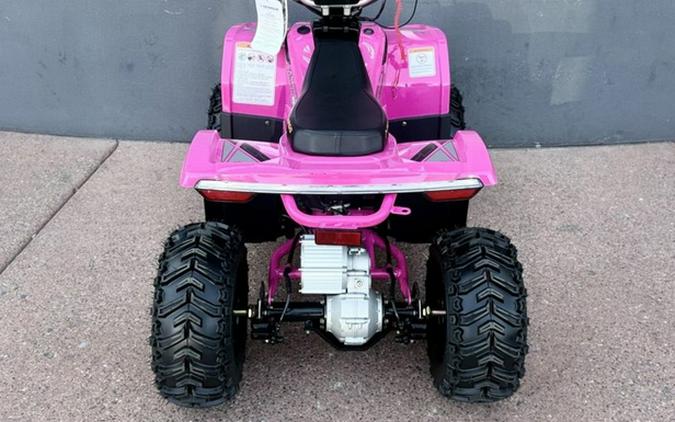 2026 Denago Powersports E-Hawk 6