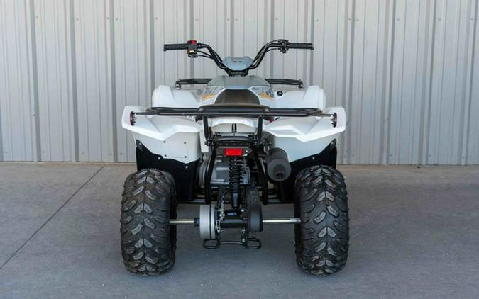 2024 Yamaha Grizzly 90