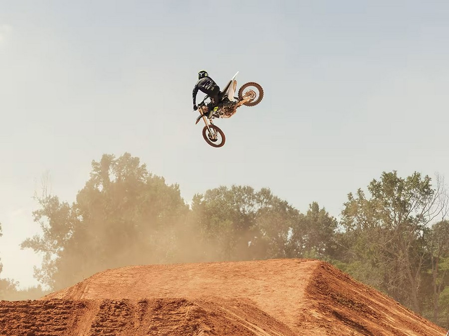 2025 Triumph TF 250-X