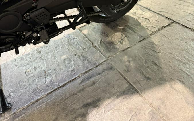 2024 Harley-Davidson CVO Pan America