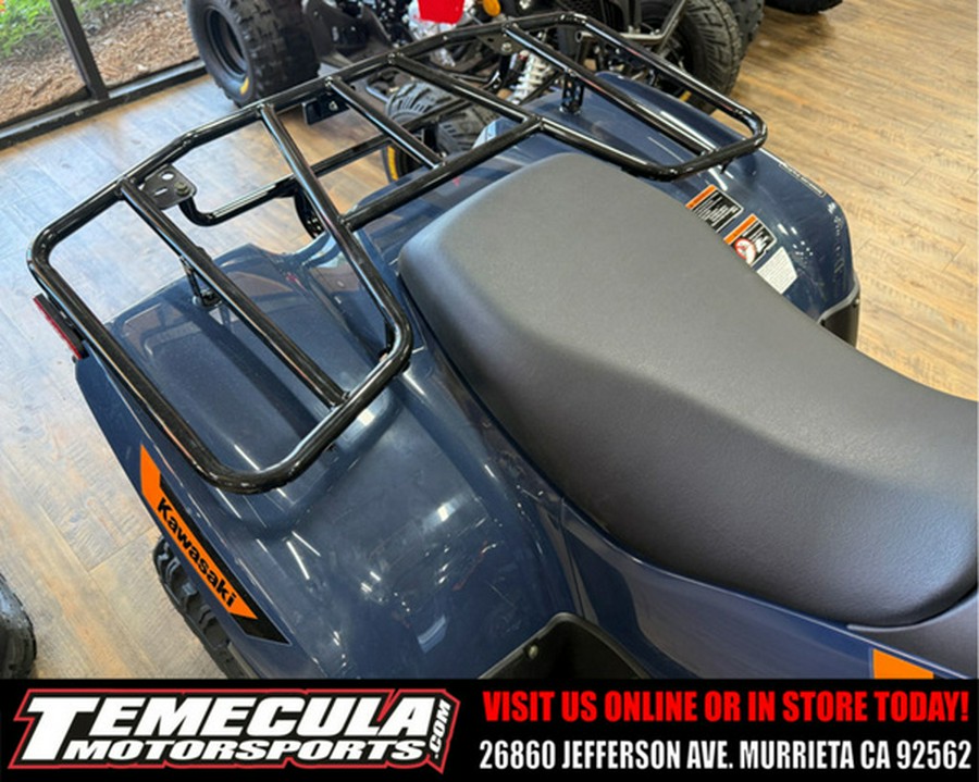 2026 Kawasaki Brute Force 300