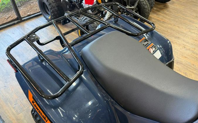 2026 Kawasaki Brute Force 300