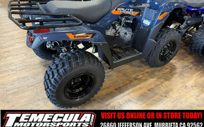 2026 Kawasaki Brute Force 300