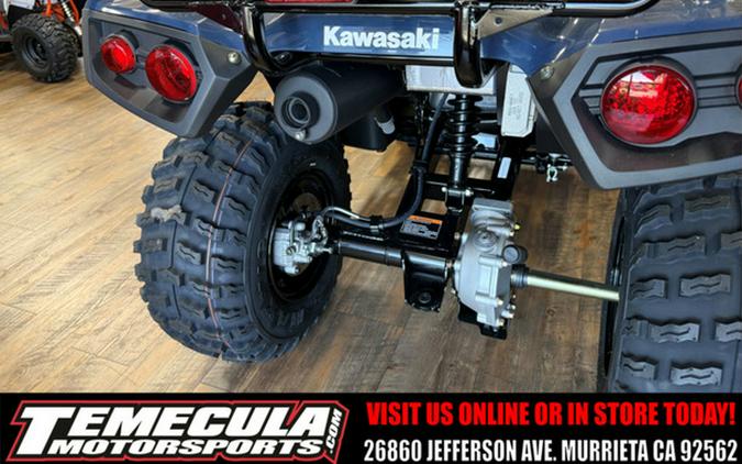2026 Kawasaki Brute Force 300