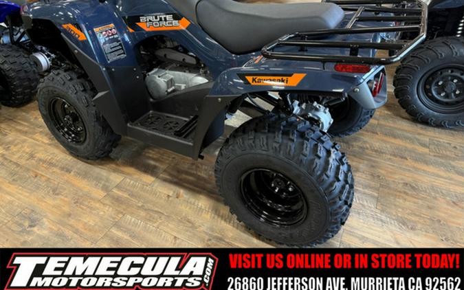 2026 Kawasaki Brute Force 300