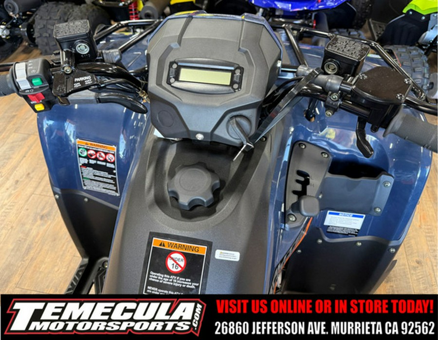 2026 Kawasaki Brute Force 300