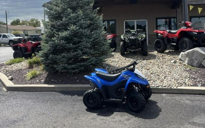 2020 Kawasaki KFX®50