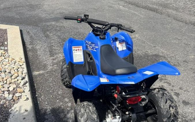 2020 Kawasaki KFX®50