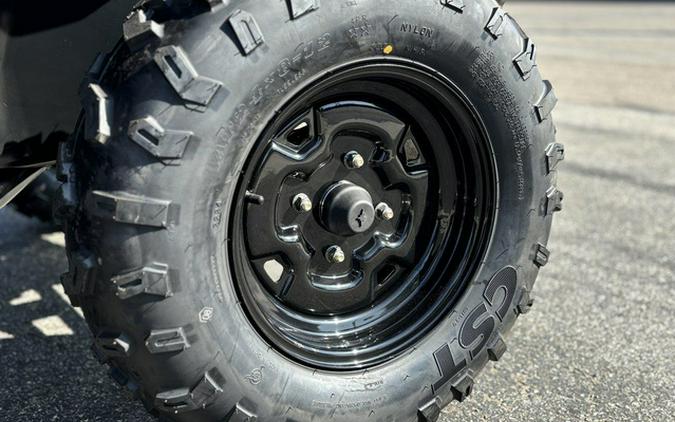 2025 Polaris RZR 200 EFI