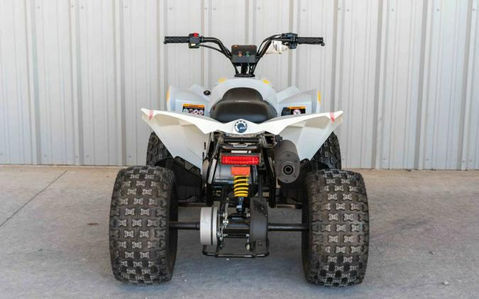 2024 Can-Am Renegade 110 EFI