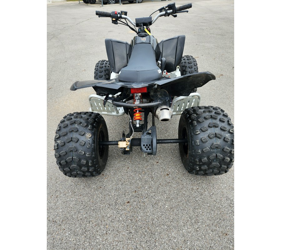 2019 Can-Am DS 90