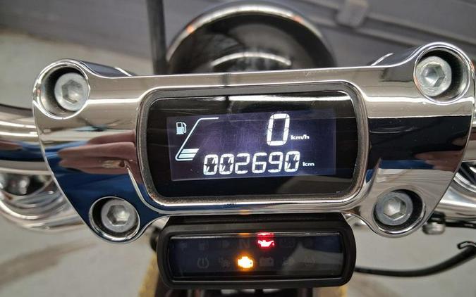 2024 Harley-Davidson® FXST - Softail® Standard