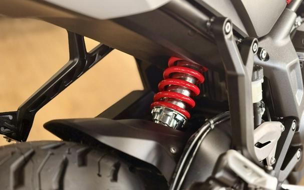 2026 Triumph Trident 800