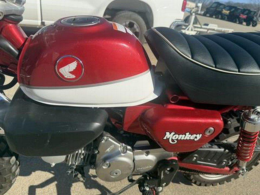 2020 Honda Monkey ABS