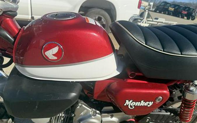 2020 Honda Monkey ABS
