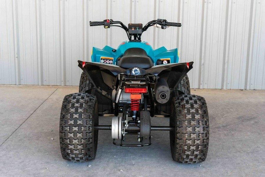 2024 Can-Am Renegade 110 EFI