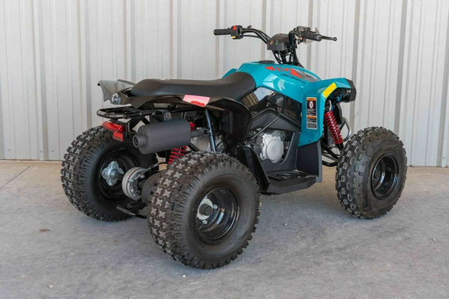 2024 Can-Am Renegade 110 EFI