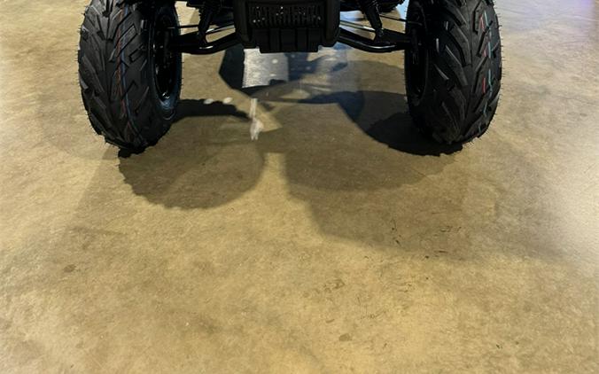 2025 Polaris Sportsman 110 EFI