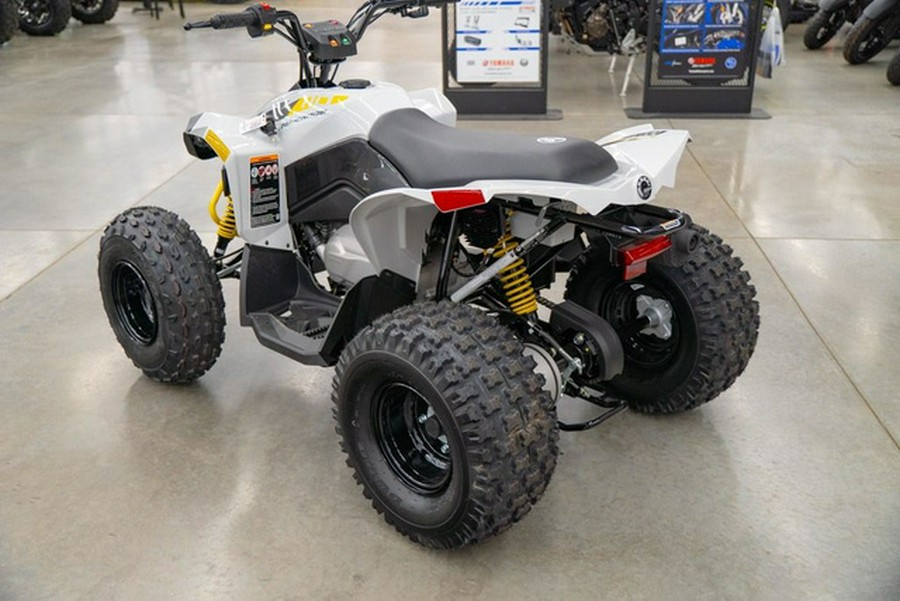 2026 Can-Am Renegade 110 EFI