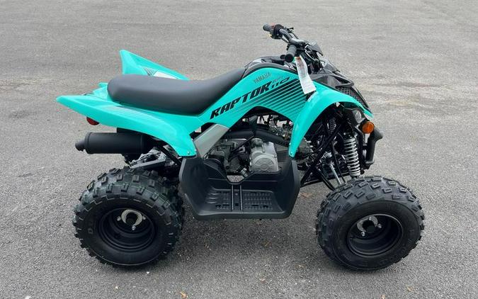 2024 Yamaha Raptor 110