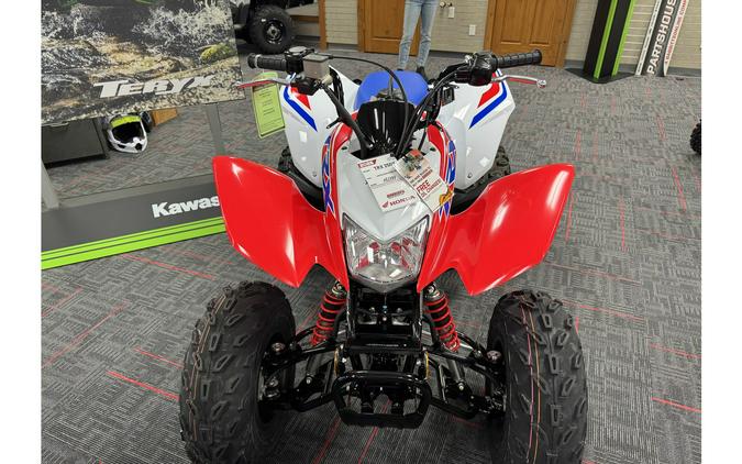 2026 Honda TRX 250 X