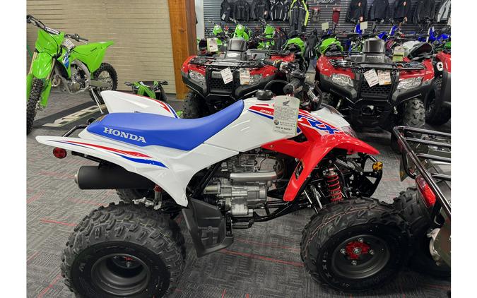 2026 Honda TRX 250 X