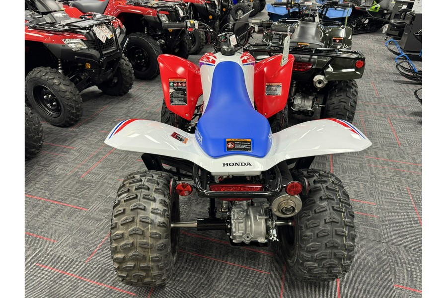 2026 Honda TRX 250 X