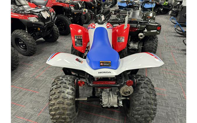 2026 Honda TRX 250 X